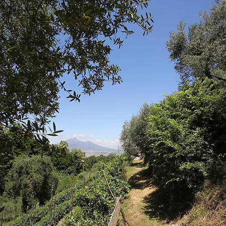 Catie Nocleg ze śniadaniem Castellammare di Stabia